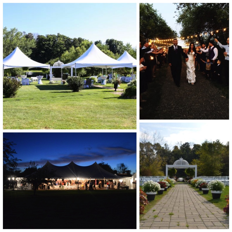 venue-abg